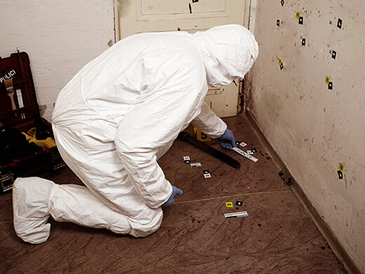 Rainbow Restoration of Bothell