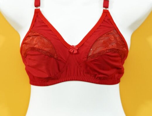 The Feminique Best Ladies undergarment Brand in Pakistan