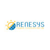 Renesys Power Systems