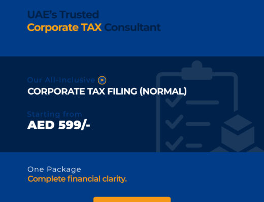 Insta Ledger for accounting and bookkeeping LLC