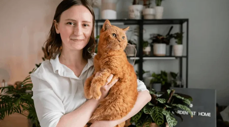 10 Mistakes Cat Owners Should Avoid When Choosing Boarding